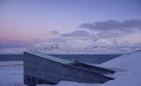 Conservación y protección de la papa Conservación y protección de la papa