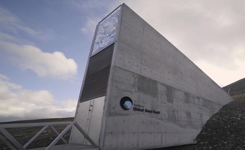 Recent flooding of the global seed vault in Svalbard caused a stir, since it was supposed to last forever. Luckily all seeds are OK, but already adaptations to the vault may be needed to deal with climate change.