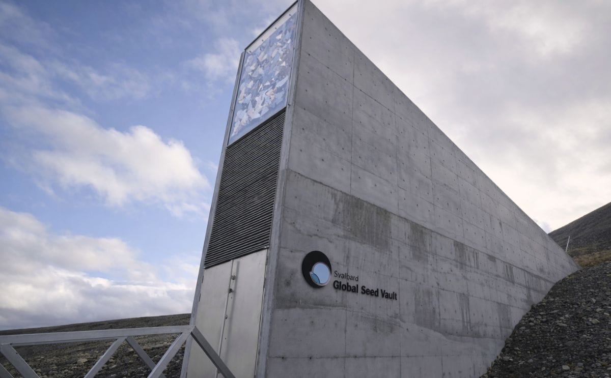 Doomsday? Svalbard Seed Vault flooded, threatened by Climate Change Doomsday? Svalbard Seed Vault flooded, threatened by Climate Change