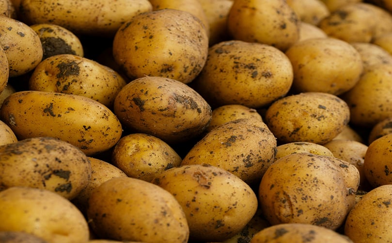 Where Technology Meets the Humble Spud Where Technology Meets the Humble Spud