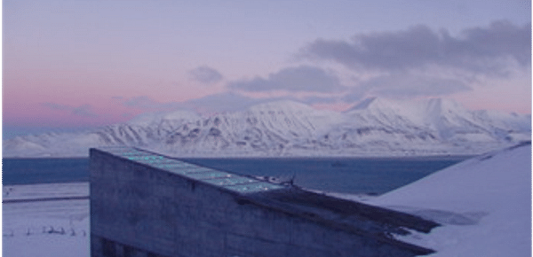  Svalbard Global seed vault