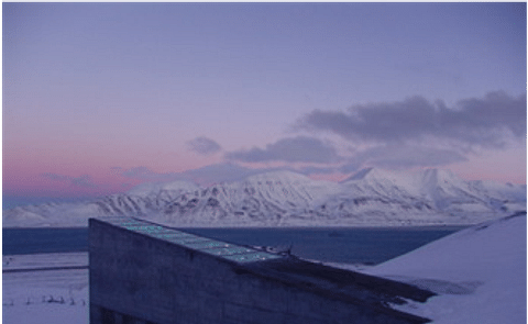Peru to send 1500 native potato varieties to arctic seed vault Peru to send 1500 native potato varieties to arctic seed vault