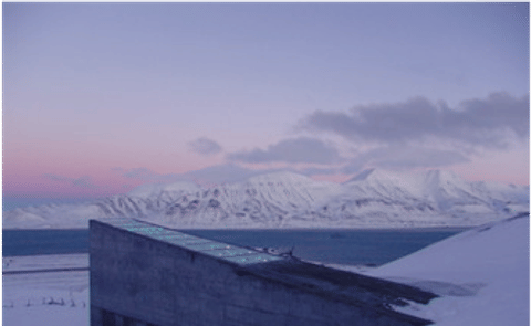 Peru to send 1500 native potato varieties to arctic seed vault Peru to send 1500 native potato varieties to arctic seed vault