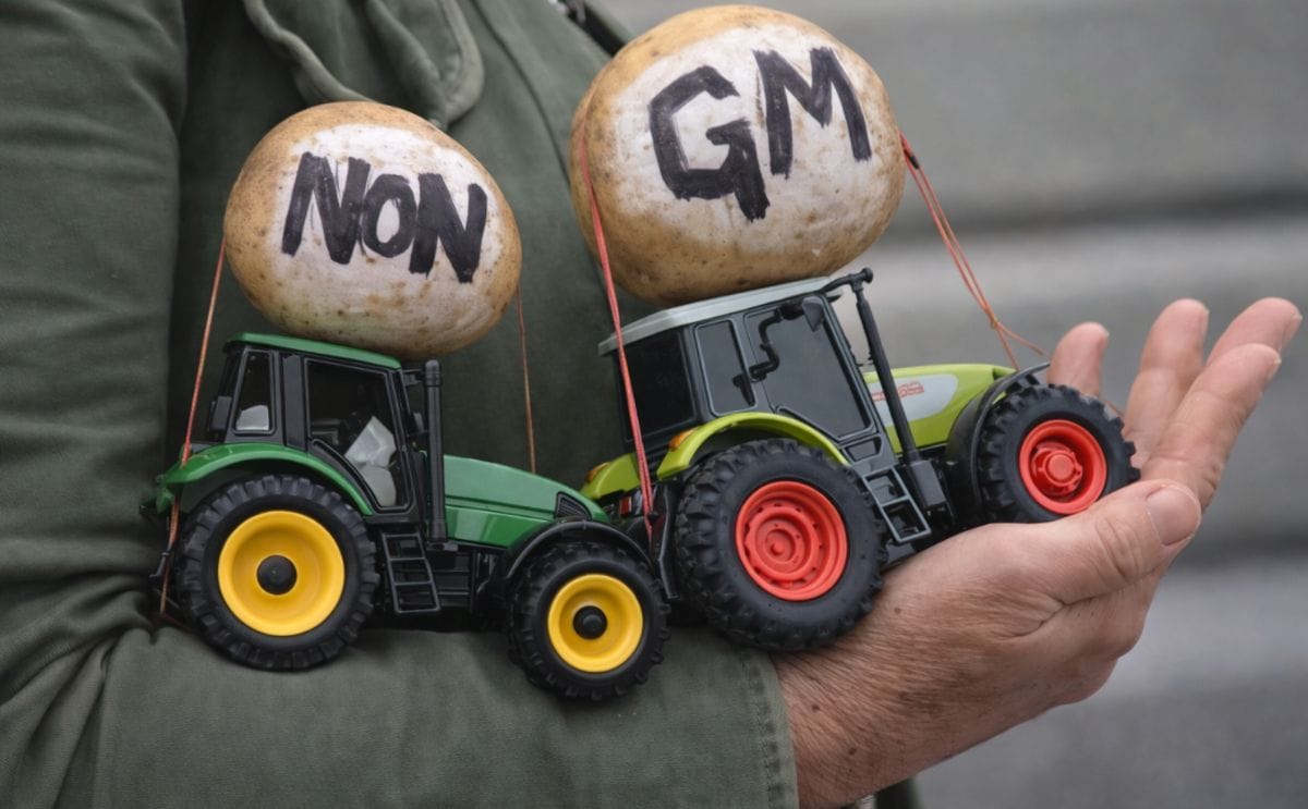 Protest against GM Potatoes in Norwich Protest against GM Potatoes in Norwich