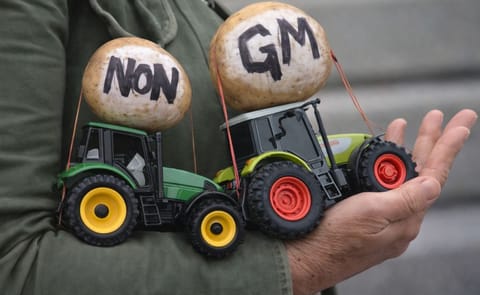 Protest against GM Potatoes in Norwich Protest against GM Potatoes in Norwich