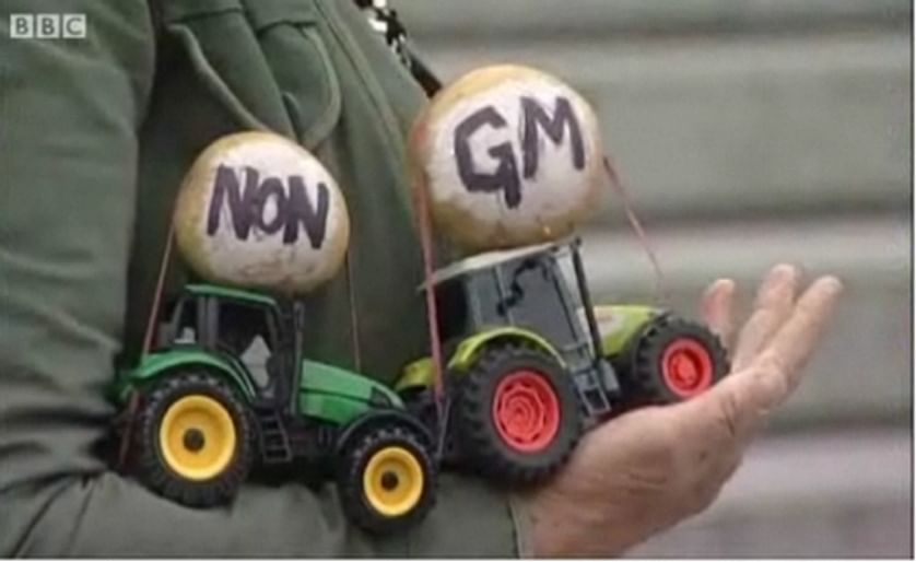 Protest against GM Potatoes in Norwich