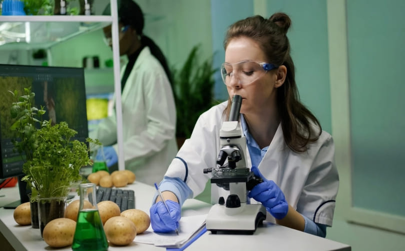 Precision Genome Editing in Modern Potato Breeding