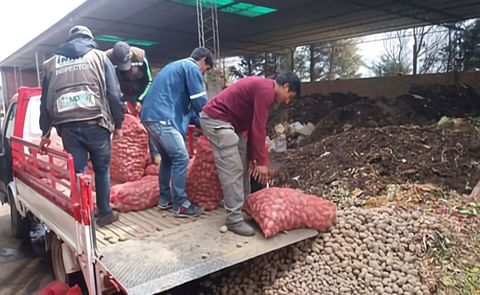 Gobierno boliviano decomisa semilla de papa que no cumple con requisitos de calidad Gobierno boliviano decomisa semilla de papa que no cumple con requisitos de calidad