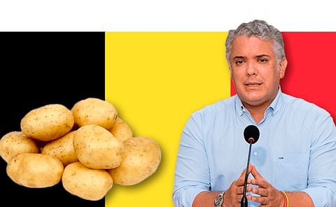 Gobierno Colombiano no autorizó la importación de 65.000 toneladas de papa de Bélgica, pero la crisis de los papicultores es real y profunda. Gobierno Colombiano no autorizó la importación de 65.000 toneladas de papa de Bélgica, pero la crisis de los papicultores es real y profunda.