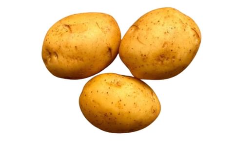 GOLDEN GLOBE GOLDEN GLOBE