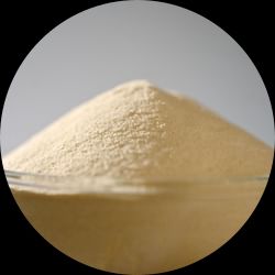 Potato Flour (Granular and Fine Flour)