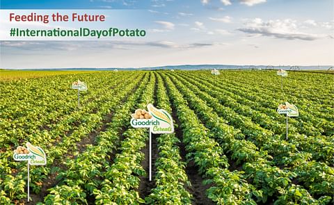 Goodrich Cereals Celebrates International Potato Day with Innovative and Sustainable Potato Products Goodrich Cereals Celebrates International Potato Day with Innovative and Sustainable Potato Products