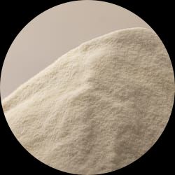 Potato Granules