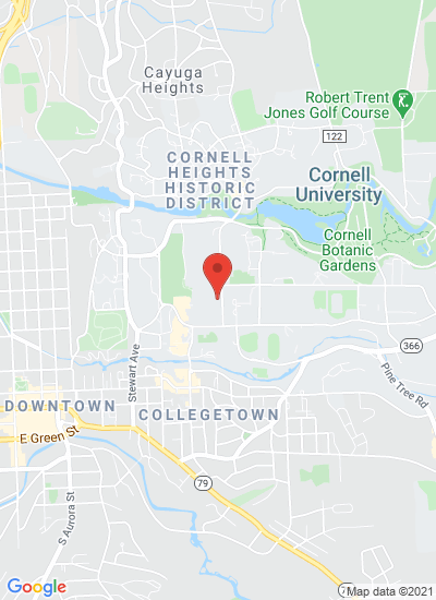 Cornell University