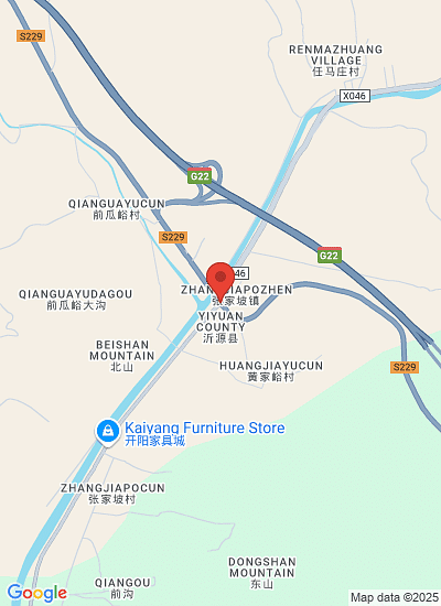 Shandong Relishi Food Co., Ltd.