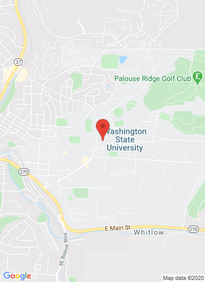 Washington State University