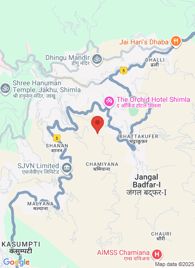 Maa Tara Fruits company