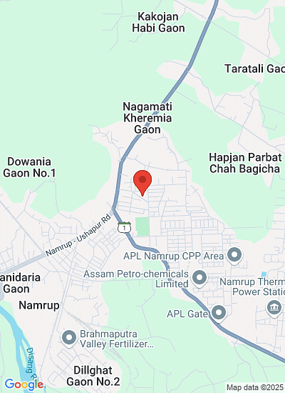 Brahmaputra Valley Fertilizer Corporation Limited