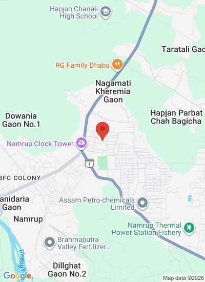 Brahmaputra Valley Fertilizer Corporation Limited