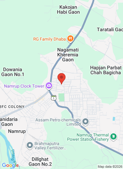 Brahmaputra Valley Fertilizer Corporation Limited