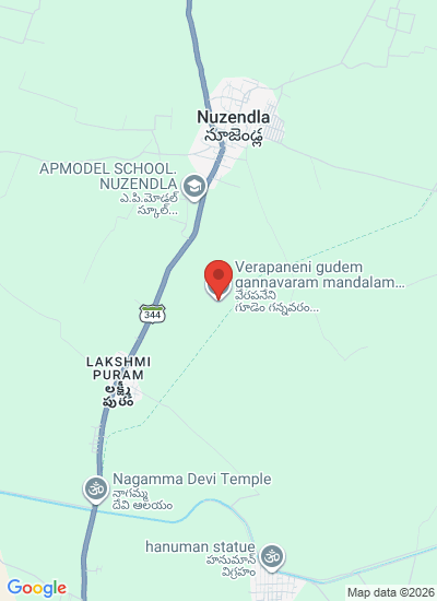 Nagarjuna Fertilizers and Chemicals Limited