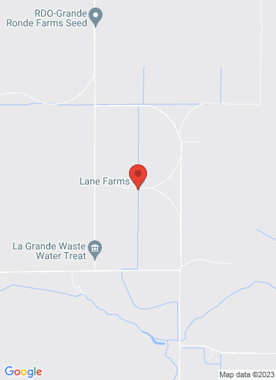 Lane Farms