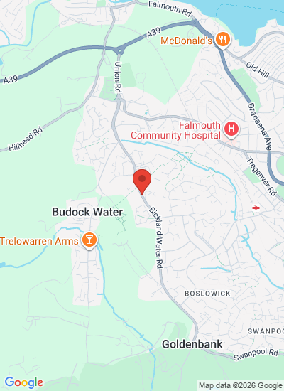 Watson Marlow (WMFTS)