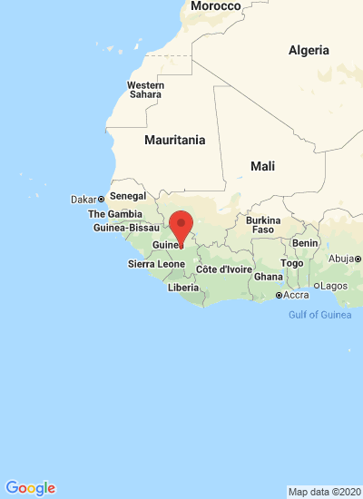 Guinea