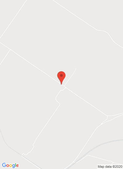 Golden Seed Potato Farm Co. Ltd.