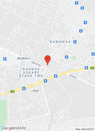 Zambian Potato Company
