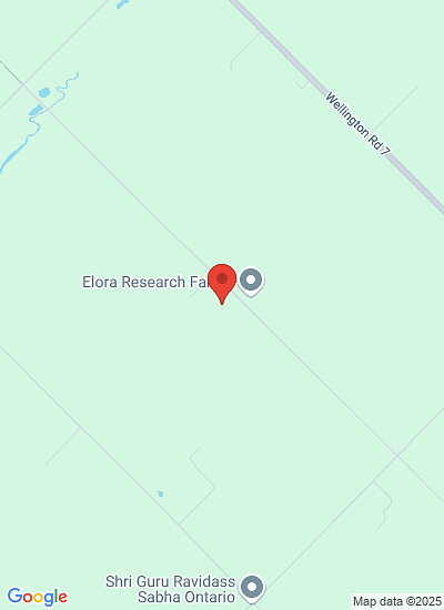 Elora potato research open field day 2025