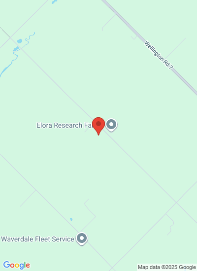 Elora potato research open field day 2025