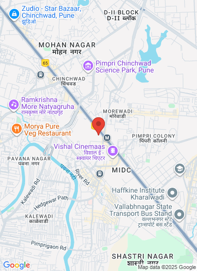 Verder India Pumps Pvt. Ltd