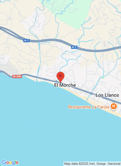 Plantas de Boniato Miguel Guerra S.L.