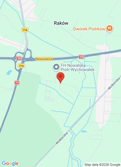 Nowalijka