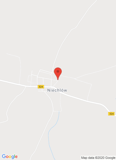 Przedsiębiorstwo Przemysłu Ziemniaczanego SA w Niechlowie