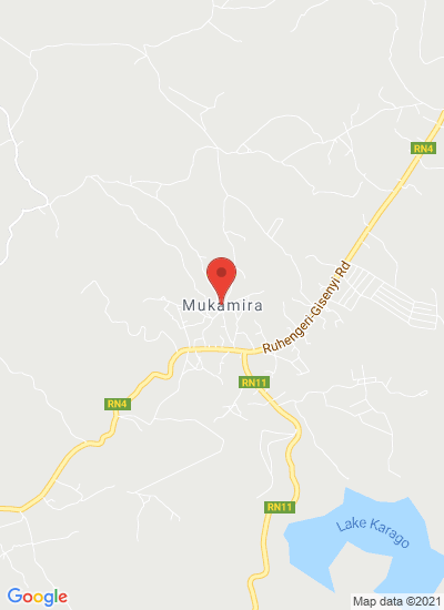 Nyabihu Potato Company