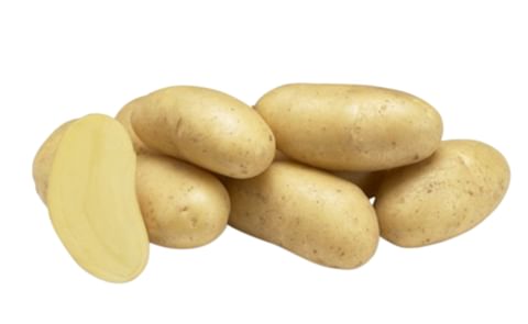 GOURMANDINE GOURMANDINE