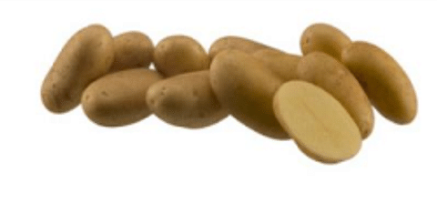  Gourmandine aardappel Agrico