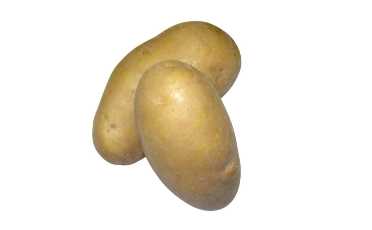GOURMETESSA GOURMETESSA