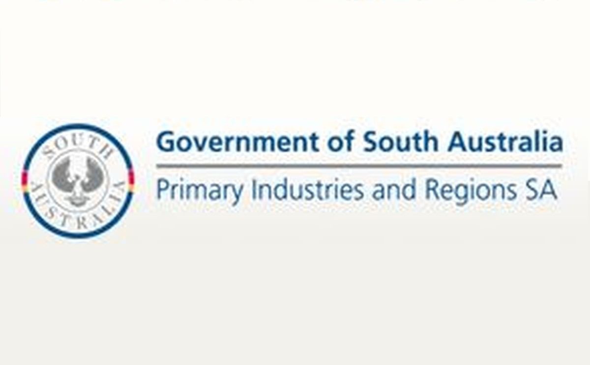 Grant To Secure Seed Supply For South Australian Potato Industry Grant To Secure Seed Supply For South Australian Potato Industry
