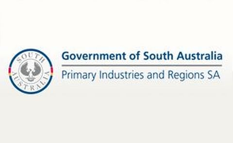 Grant To Secure Seed Supply For South Australian Potato Industry. Grant To Secure Seed Supply For South Australian Potato Industry.