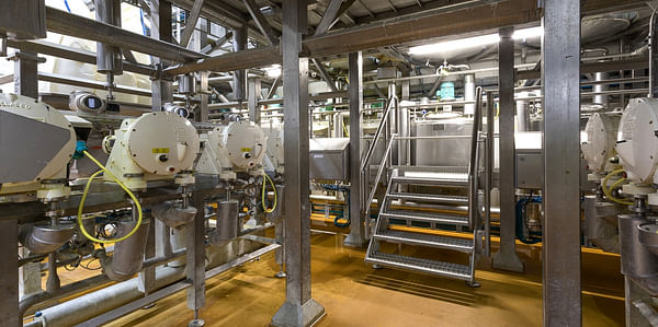 Gpi delivers additive line for the new Lamb Weston/Meijers factory in Kruiningen