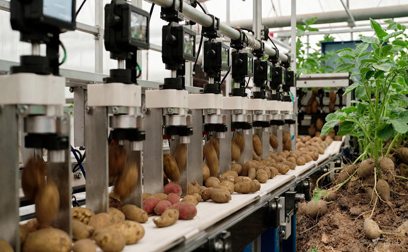 AI-Powered Optical Sorting System with Real-Time Tuber Quality Detection AI-Powered Optical Sorting System with Real-Time Tuber Quality Detection