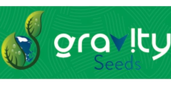 Gravity seed