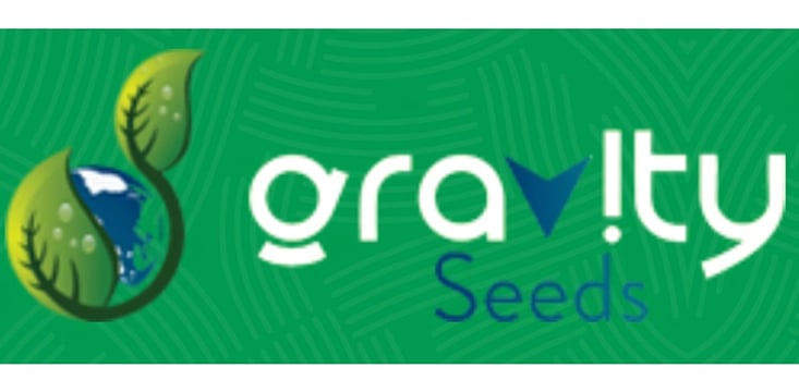 Gravity seed Gravity seed