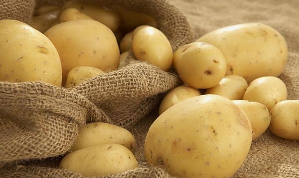 Low prices, a difficulty for Greek potato producers