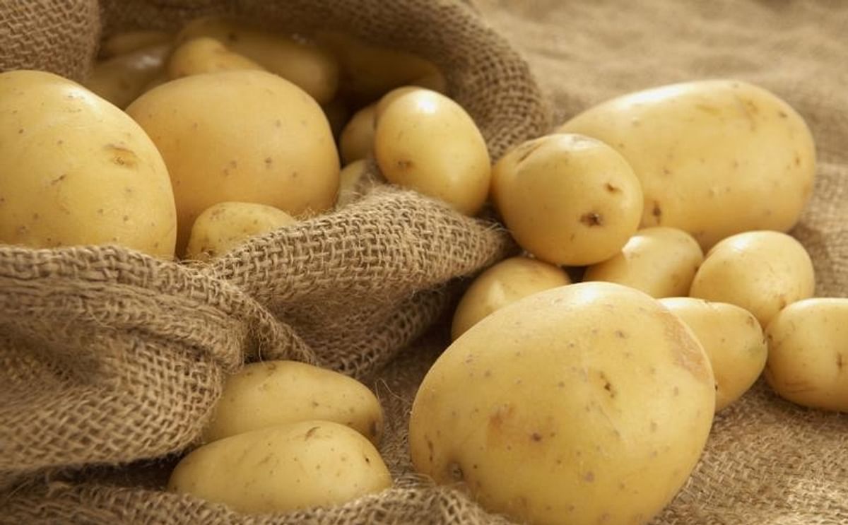 Low prices of imported potatoes haunt Greek potato producers