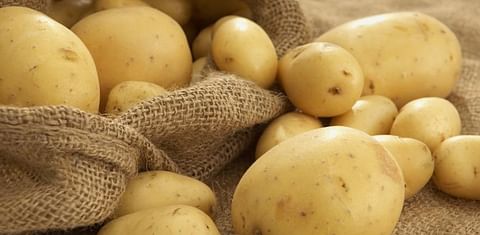 Low prices, a difficulty for Greek potato producers