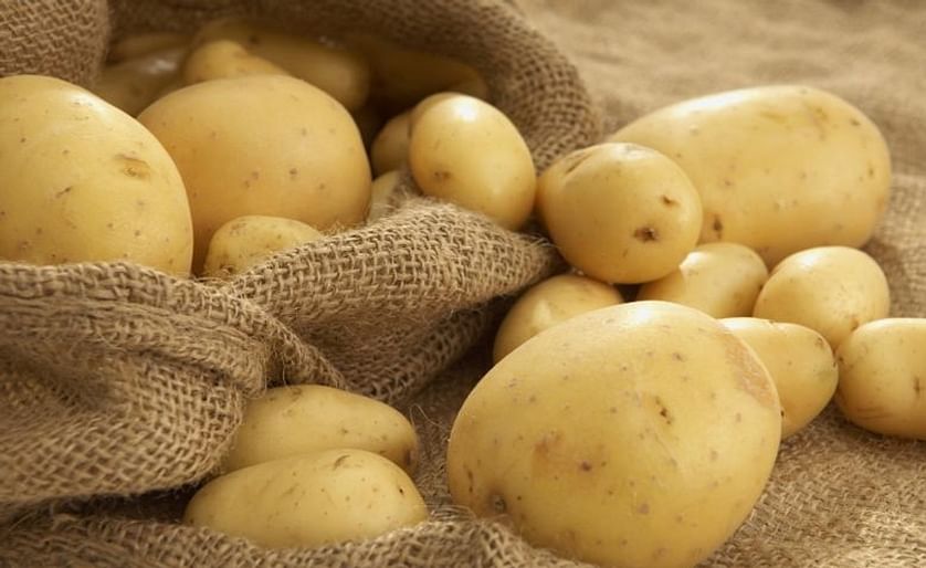 Low prices of imported potatoes haunt Greek potato producers